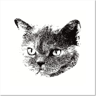 Selkirk Rex gift for Selkirk Rex Owners Posters and Art